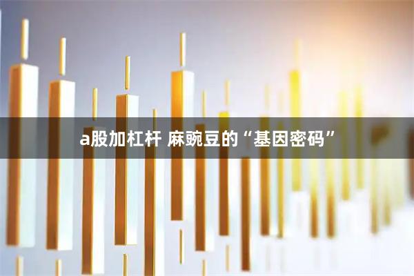 a股加杠杆 麻豌豆的“基因密码”