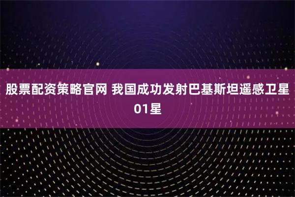 股票配资策略官网 我国成功发射巴基斯坦遥感卫星01星